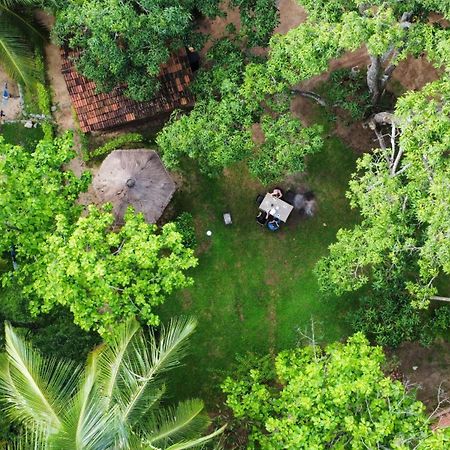 Eco Village Kalundewa دامبولا المظهر الخارجي الصورة