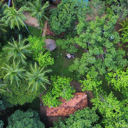 Eco Village Kalundewa دامبولا المظهر الخارجي الصورة