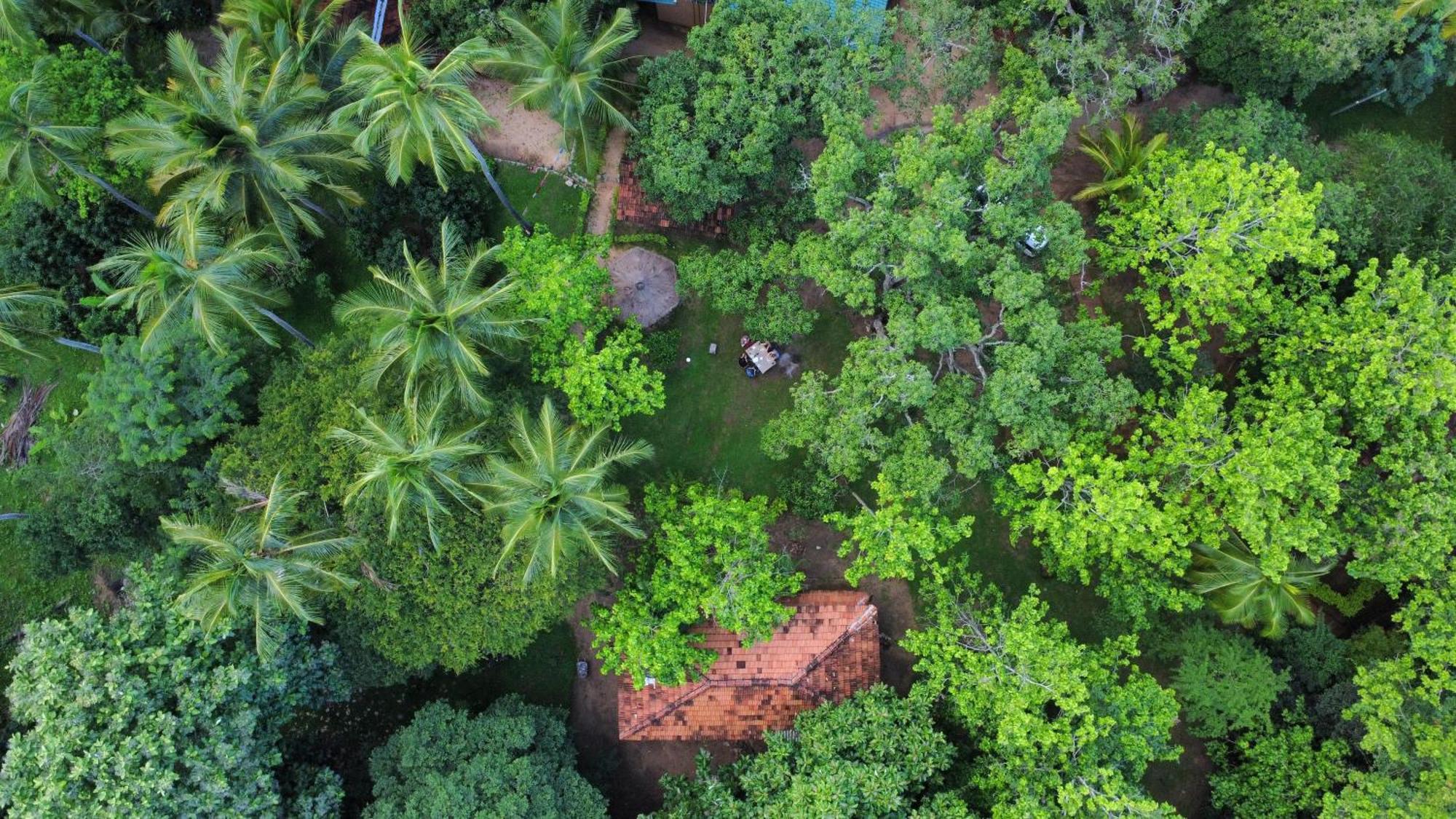Eco Village Kalundewa دامبولا المظهر الخارجي الصورة