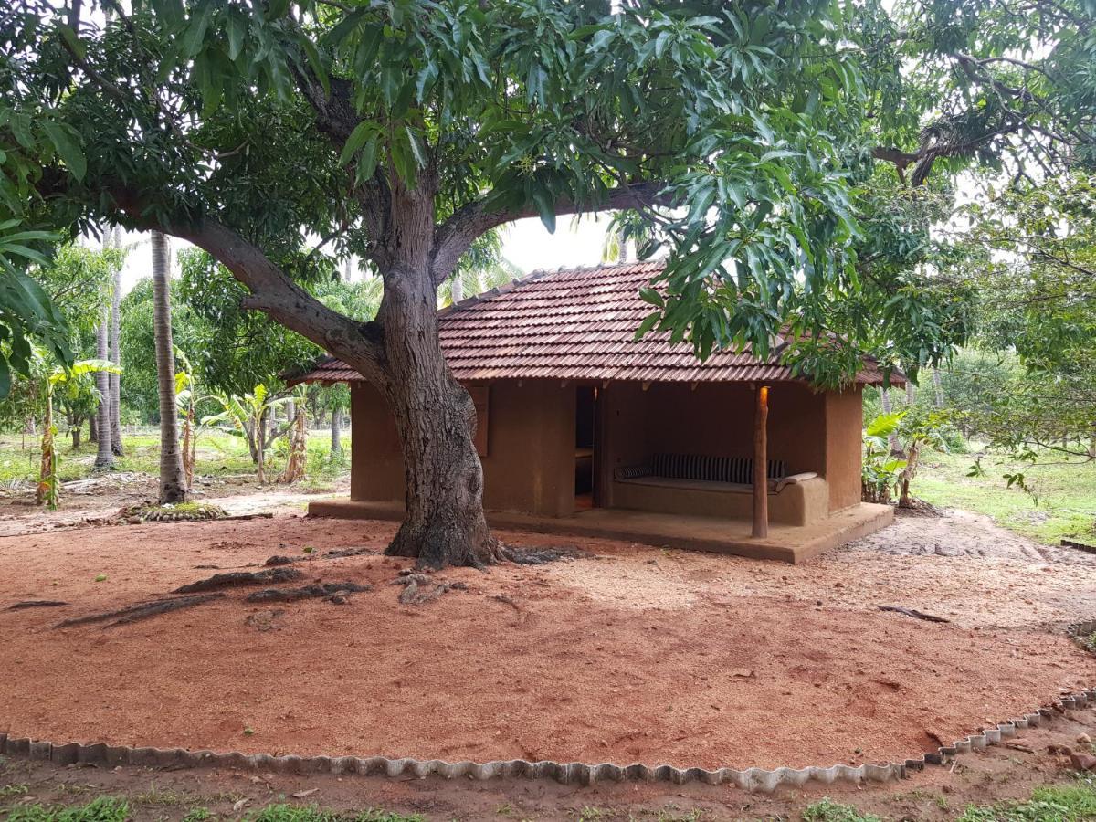 Eco Village Kalundewa دامبولا المظهر الخارجي الصورة
