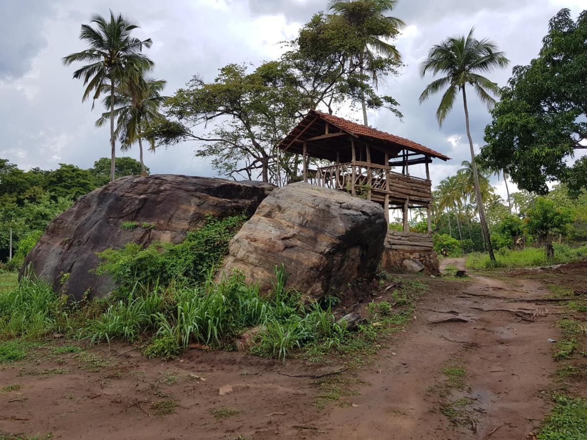 Eco Village Kalundewa دامبولا المظهر الخارجي الصورة