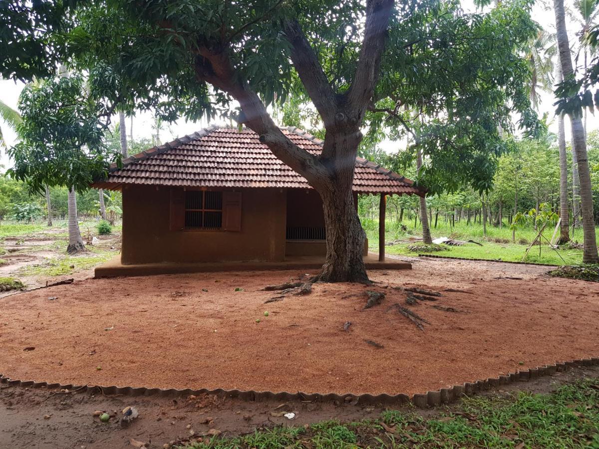 Eco Village Kalundewa دامبولا المظهر الخارجي الصورة