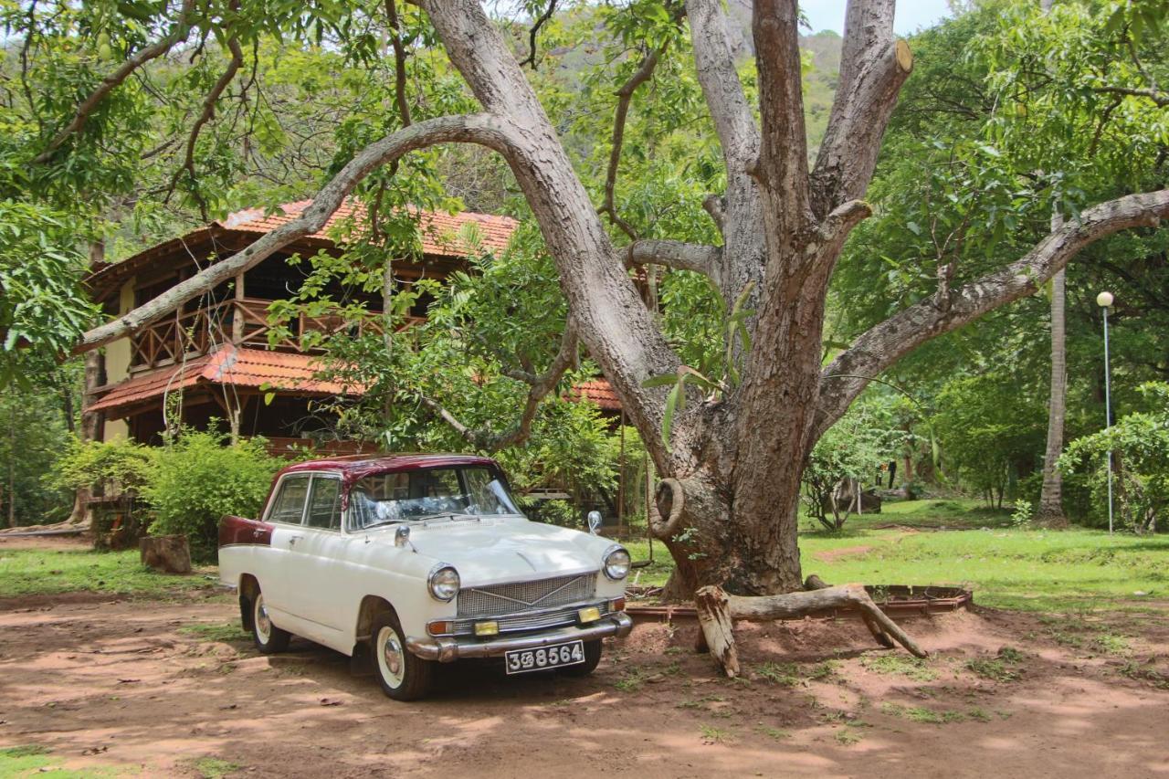 Eco Village Kalundewa دامبولا المظهر الخارجي الصورة